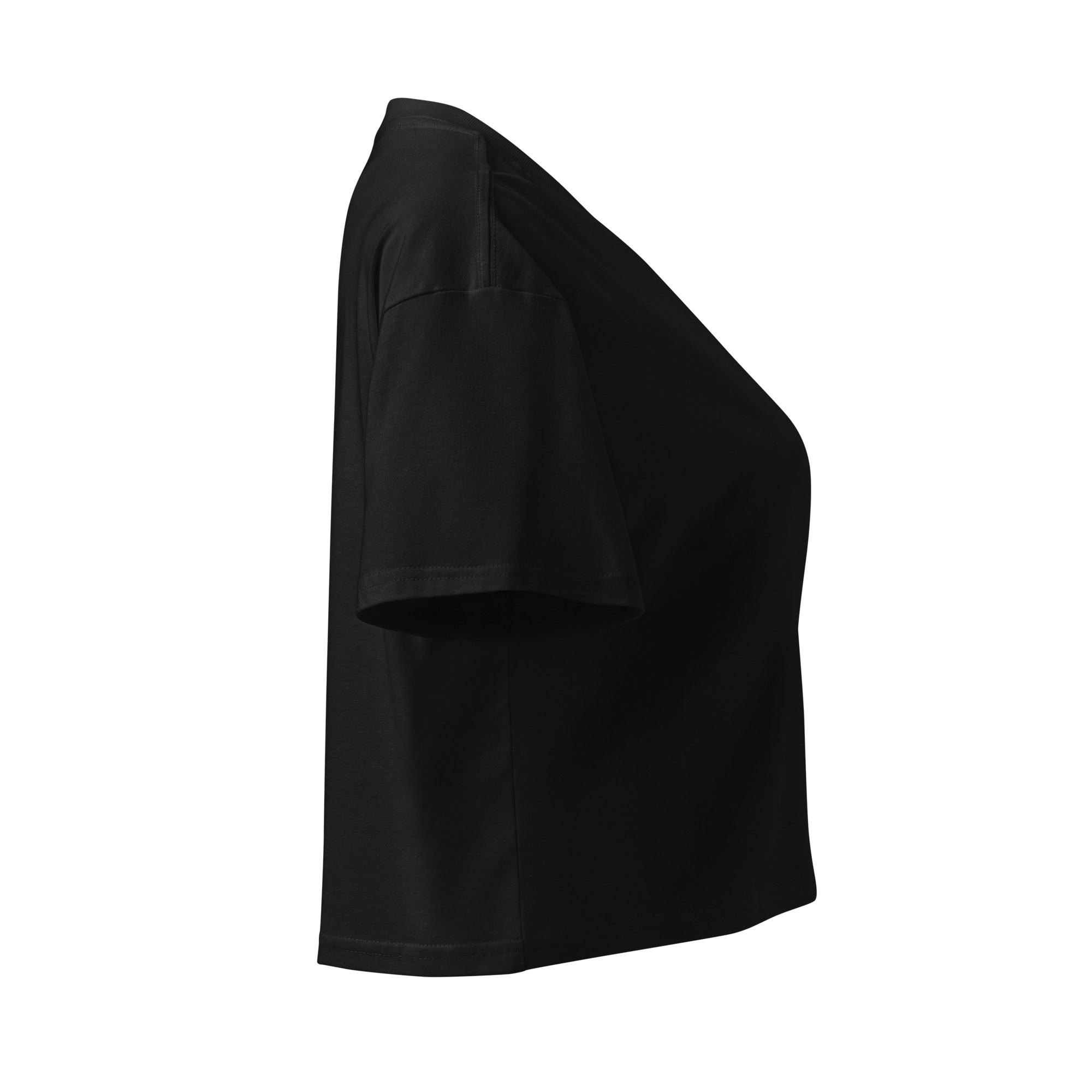 Florida Women’s crop top - Image 32