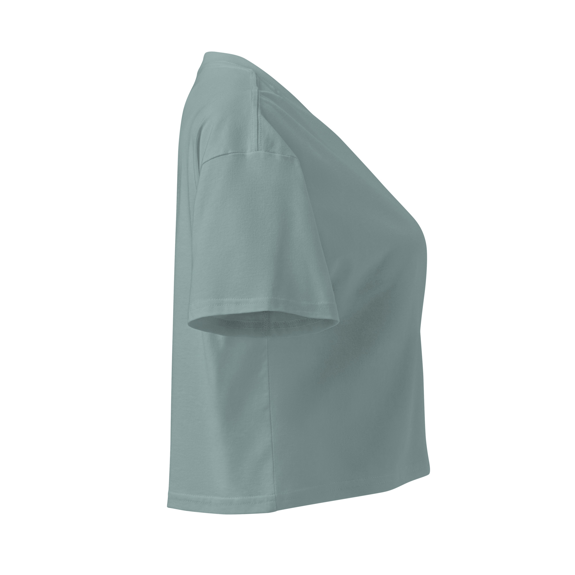 Florida Women’s crop top - Image 33